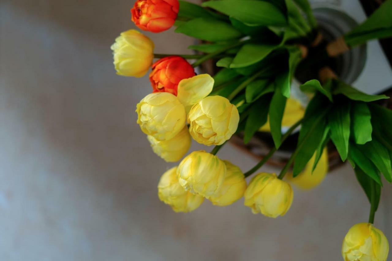 Il Tulipano - Appartamento Al Centro Di วีโกเอเกวนเซ ภายนอก รูปภาพ