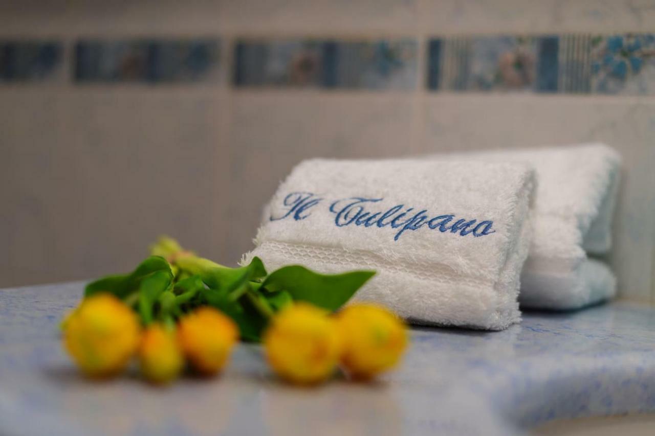 Il Tulipano - Appartamento Al Centro Di วีโกเอเกวนเซ ภายนอก รูปภาพ