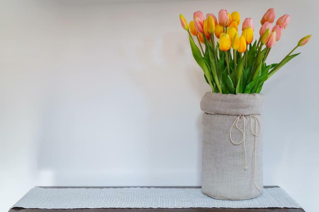 Il Tulipano - Appartamento Al Centro Di วีโกเอเกวนเซ ภายนอก รูปภาพ